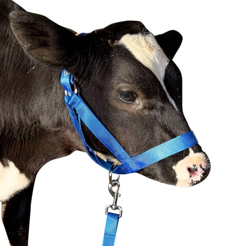 Cow Halter Cattle Halters Calf Halter with Leading Rope，Adjustable Nylon Livestock Cattle Halter，for Miniature Horse Donkey Goat Foal (Blue, Small) - color: Blue, size: Small