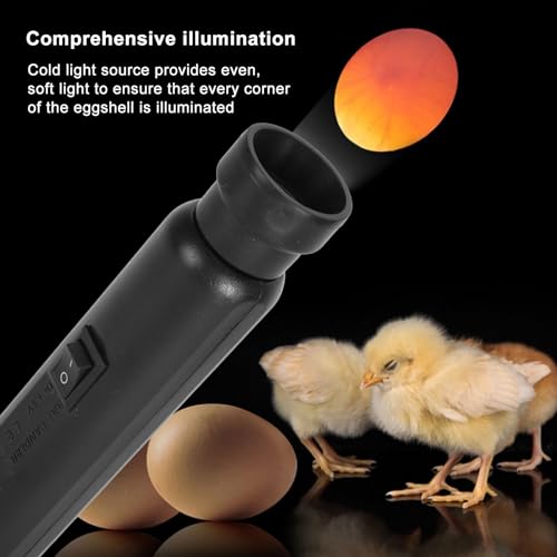 Bright Cool LED Light Egg Candler Tester Candler Candling Lamp, Egg Candler LED Light for Monitoring Eggs Development with 2 Soft Rubber