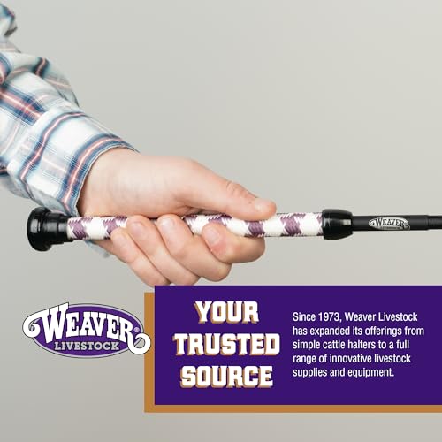 Weaver Livestock Basic Pig Show Whip, Hog Livestock Whip with Braided Nylon Handle, Leather Popper, Lightweight Braided Shaft - color: 36" - Mauve/White