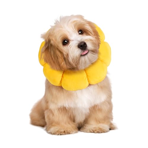 HOMBYS Soft Dog Cone for Dogs and Cats, Cute & Fluffy Flower Shape for Claming, Adjustable Dog Collar Alternative After Surgery, Protective Elizabethan Collar for Dogs Recovery & Stop Licking, L - size: L