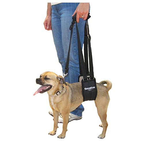 GINGERLEAD Dog Rear Sling Support Harness, SM Female, Machine Wash & Dry | Fits Small to Medium Size Dogs or Larger Barrel-Chested Breeds like Boxers, Bullies. Padded, Integrated Leash. Made in U.S.A. - size: Small - Female