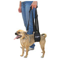 GINGERLEAD Dog Rear Sling Support Harness, SM Female, Machine Wash & Dry | Fits Small to Medium Size Dogs or Larger Barrel-Chested Breeds like Boxers, Bullies. Padded, Integrated Leash. Made in U.S.A. - size: Small - Female