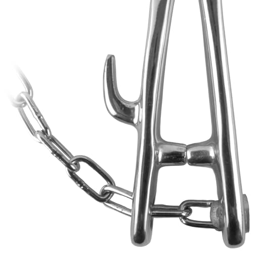 Jeffers Livestock Bull Nose Lead with Chain – Nickel Plated Iron Cow Nose Pliers for Cattle Handling, Control & Restraint – Show, Veterinary, Transport & Training Tool for Cows and Bull