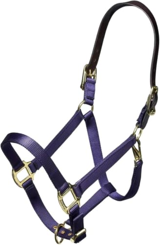 ARMA Shires Nylon Halter with Leather Head Strap - color: Navy, size: Full