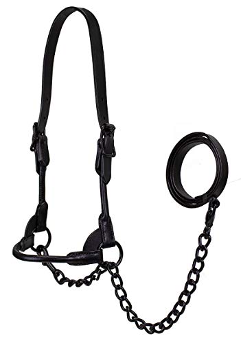 Derby Originals Black Midnight All Black Premium Round Rolled Leather Cattle Show Halter with Matching Chain Lead - size: Medium (650-1050lbs)