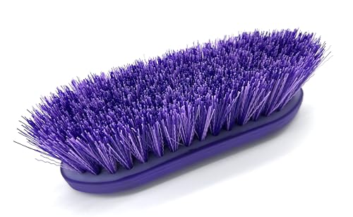 Large Horse Grooming Dandy Brush (Purple - Short Bristles) - color: Purple - Short Bristles