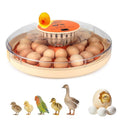 Gen IV - 30 Egg Incubator, Wide-Range Humidity with Manual Water Fill, Stable Temp Control, Dual-Size Egg Slots, Auto Egg Turning, Candler, Real-Time Display for Hatching Poultry Eggs - size: 30 egg-white