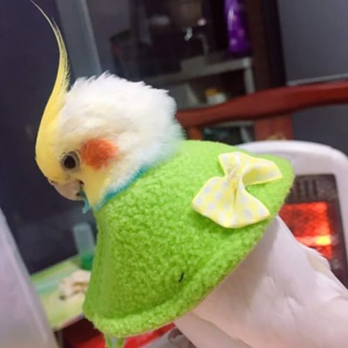 QBLEEV 4Pack Parrot Anti-bite E-Collars, Anti-Grab Feather Plucking Collars | Soft pet wound healing safety elizabethan collar, protective recovery cones for budgerigar lovebird agapornis fischer - size: L-Neck Girth(4.3"-5.1")