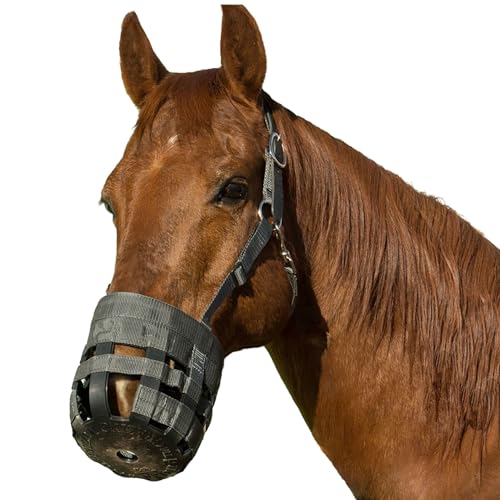 Best Friend Deluxe Leather Crown Grazing Muzzle - Horse Muzzle with Attached Halter, Adjustable, Breakaway, Lightweight, Ventilated, for Controlled Grazing - Dark Grey, Cob Size - size: Cob