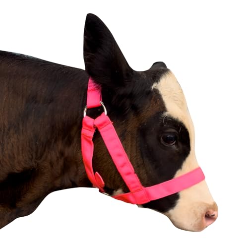 Cow Halter Cattle Halters Adjustable Calf Halter with Leading Rope for Horse Donkey Goat Nylon Cattle Training Supplies Pink L - color: Pink, size: L