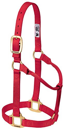 Weaver Leather Original Non-Adjustable Nylon Horse Halter