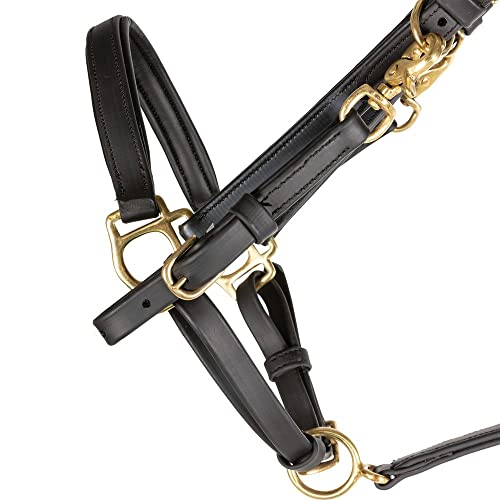 Dura-Tech All Weather Trail Halter for Horses/Bridle Combo | Versatile Horse Riding Essential | All-Weather Endurance | Effortless Conversion