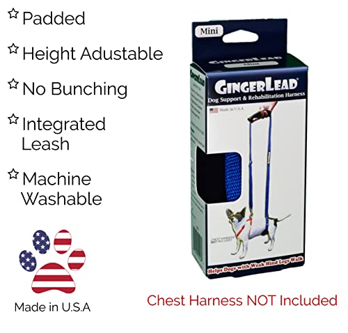GINGERLEAD Dog Back Support IVDD Sling Harness, X-Small & Dachshunds | Fits Pets Under 25 lbs and Doxies, Walking Aid for K9s with Disc Disease, Fully Adjustable, Chest Harness NOT Included - size: X-Small - Male