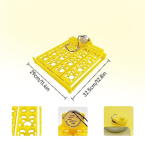 Egg Turning Tray, Incubator Chicken Multifunction Automatic Turner Tray Quail Incubation, Incubators for Hatching Eggs (DC12V) - size: DC12V