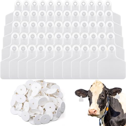 Lothee 100 Pcs Blank Cattle Ear Tags Large Plastic Precision Animal Identification Blank Livestock Ear Tags for Cattle Cow Horse Dog Pig Goat Sheep Farm Management (White) - color: White