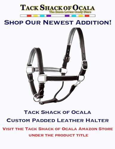 Leather Halter for Horses with Customized Engraved Name Plate Option Halter for Horse | Brown/Brass, Black/Brass, Black/Chrome Options - size: Weanling/Small Pony