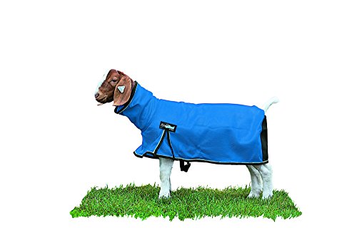 Weaver Leather Livestock ProCool Mesh Goat Blanket with Reflective Piping