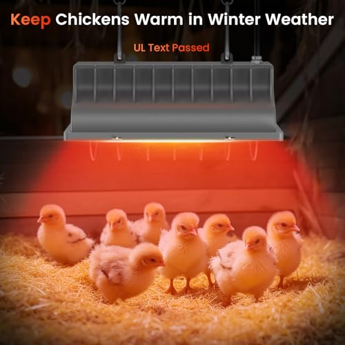 300W Bulb Repalcement -Heater for 30 Chicks Or Ducklings,Adjustable Temp for Livestock Brooder Box Supplies