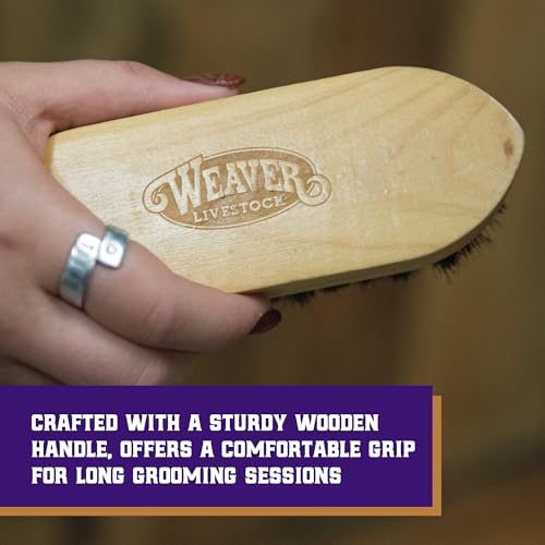 Weaver Livestock Barn Brush, Wooden Grooming Brush for Goat, Sheep, Pigs, Cattle, Stiff Bristles for Dirt Removal, Show Animal Grooming Tools