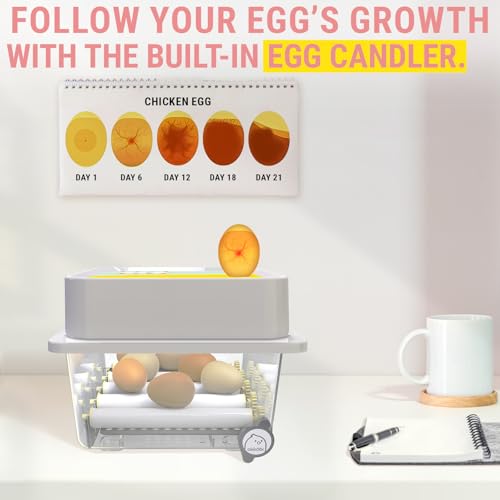 OBI-12 Egg Incubators for Hatching Eggs – Incubator for 12 Eggs with Automatic Egg Turner - Brooder for Chicken Eggs, Quail, and Duck Eggs - Yellow - color: Yellow