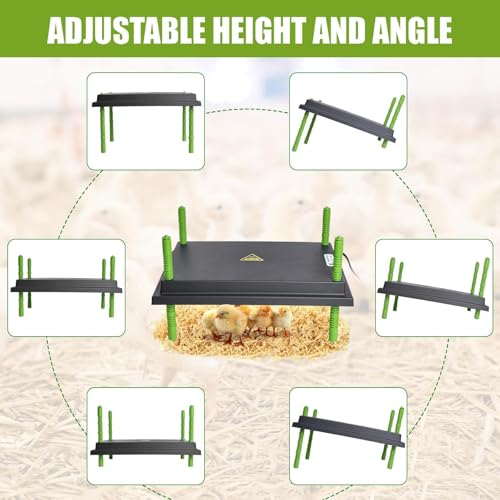 Chick Brooder Heater Plate for 40 Baby Chicks Ducks | 12" x 16" Brooder Heating Plate, Adjustable Height, 30W, 110V - size: 16.3"L x 12.0"W x 3.0"H