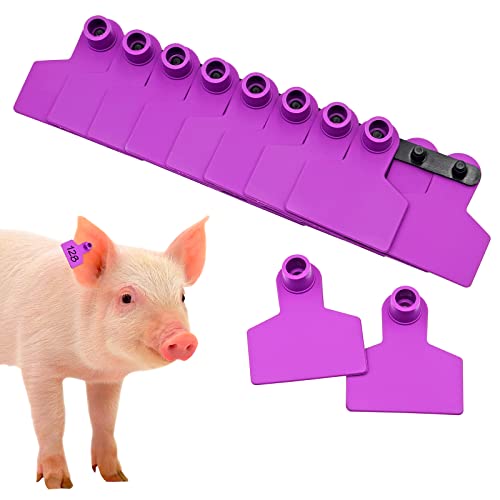 Blank Ear Tags 100 Pieces Livestock Identification Lable Blank Livestock Ear Tags for Cattle Cow Pig Goat Sheep Dog (Purple) - color: Purple
