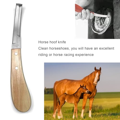 14 Inch Horse Farrier Tool Kits,7 Piece Professional Hoof Trimming Kit with Hoof Nippers, Rasp, Shear Cutter, Hoof Knife, Pick, Gloves, Storage Bag, for Horse Goat Pig Hoof Care - size: 14 Inch