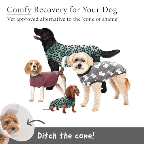 Dog Surgery Recovery Suit, Male Female After Spay Neuter Onesie | Soft Breathable Cotton, Anti-licking Cone Alternative, Protects Stitches & Abdominal Wounds, Patented Clip-up Potty System - color: Silver, size: Mini
