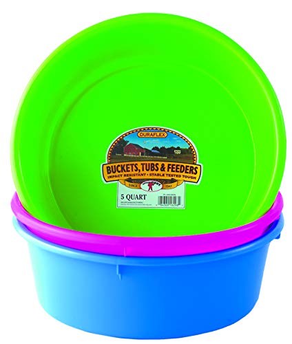 Little Giant® Plastic Utility Pan | Feed Pan | Durable & Versatile Livestock Feeding Bucket | Made in USA | 5 Quart | Lime Green - color: Lime Green, size: 5 Quarts