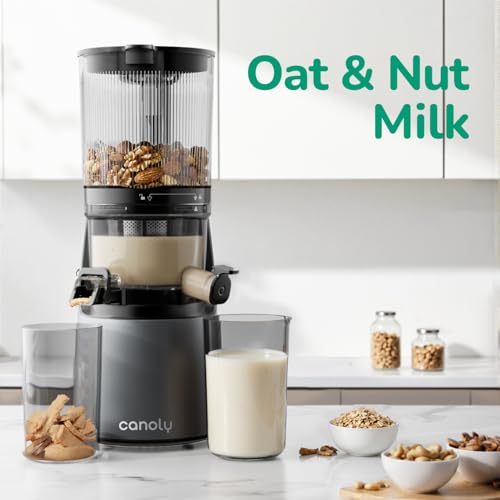 Canoly 3-in-1 Cold Press Juicer C16, Makes Juice & Sorbet & Nut Milk | 6" Extra Wide Feed Chute, Powerful AC Brushless Motor, Self Precut System, Juicer Machines with BPA-Free (Space Gray) - color: Space Gray