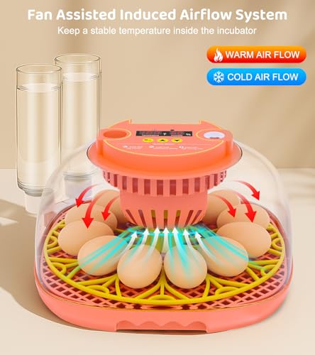 12 Egg Incubator for Hatching Eggs, Smart Temperature and Humidity Control, Automatic Egg Turning, Incubator for Hatching Chicken, Quail, Duck Eggs, 360° Clear View for Home, Classroom, Farm