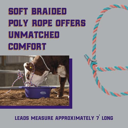 Weaver Livestock Braided Poly Rope Cattle Halter, Adjustable, Modern Style Cow Calf Halter, Livestock Handling Equipment for Showing, Coral/Gray/Teal