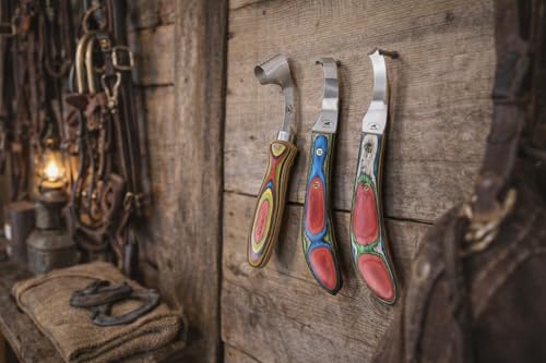 CHALLENGER Horse Farrier Tool 3-Piece Horse Equine Farrier Hoof Grooming Shoe Care Tool Kit w/Carry Bag 984142