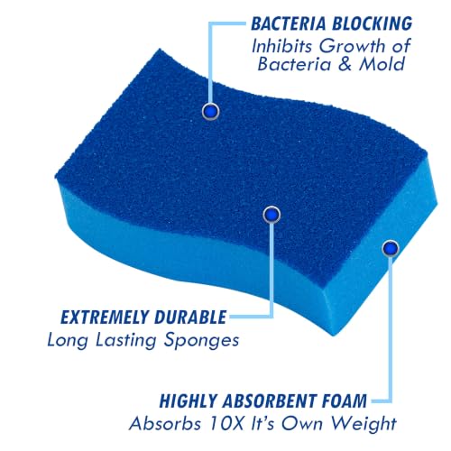 Elitra Home Heavy Duty Scrubber Sponge with Smell Resistant Hydrophilic Foam Technology, Odorless - Blue, Pack of 24 | Non-Scratch Hydrophilic Foam Technology - Curved Grip, Dual-Sided Foam & Acrylic Grain Surface, Made in USA - size: 24 Count (Pack of 1)