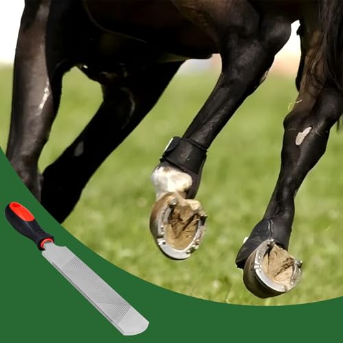12 Inch Hoof Rasp, Carbon Steel Farrier File with Handle | Dual Sided Teeth, Hoof Trimming Tool, for Horse, Donkey, Cow, Goat & Livestock Hoof Care - size: 12 inches