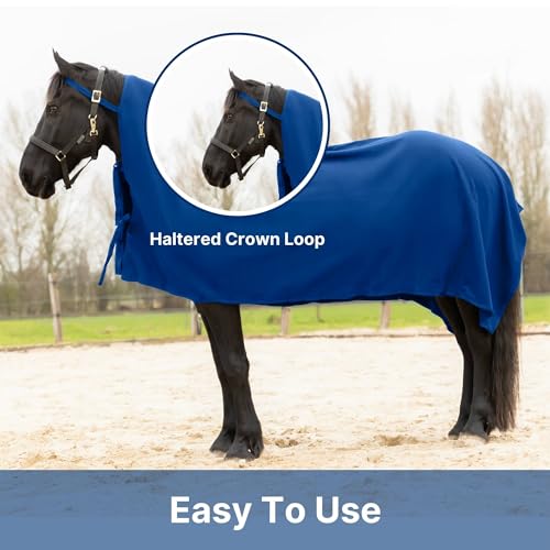 RESISTANCE Long Lasting & Warm Soft Fleece Square Cooler for Horse (Royal Blue, 90"x80") - color: Royal Blue