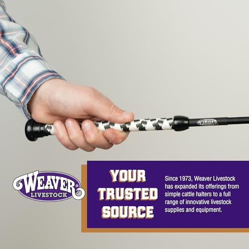 Weaver Livestock Basic Pig Show Whip, Hog Livestock Whip with Braided Nylon Handle, Leather Popper, Lightweight Braided Shaft - color: 36" - Hunter Green/White