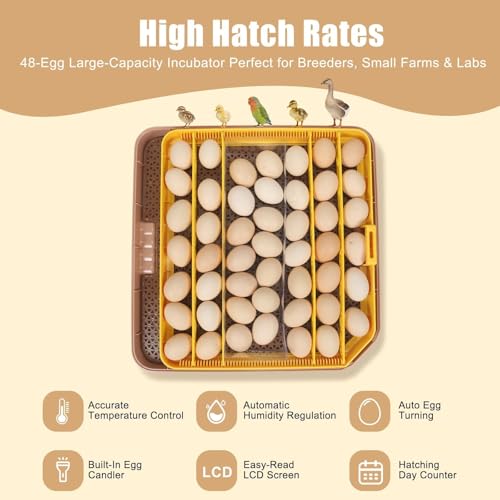 Nest IV - 48 Egg Incubator for Breeders, Fully Automated, Accurate Humidity & Temp Control, Chick Separator, Flexible Egg Spacing, Custom Incubation Days, Auto Turning & Auto Stop, Easy Monitoring - size: 48 Egg [Brown]