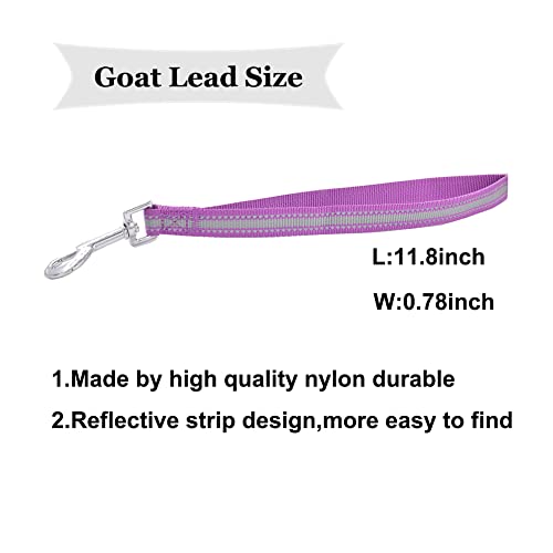 Goat Lead and Goat Collars Set Small Farm Animal Goat Sheep (Blue) | 4 Pieces Nylon 11 inch Sheep Lead with Reflective Strip Design and Nylon Goat Collar - color: Blue