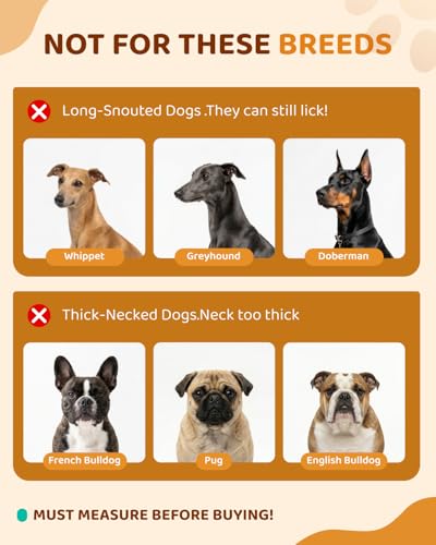 MIDOG Dog Cone Collar After Surgery, Soft Dog Cone Alternative to Stop Licking,Adjustable Elizabethan Recovery Cones for Small to Large Sized Dogs - color: Grey, size: M
