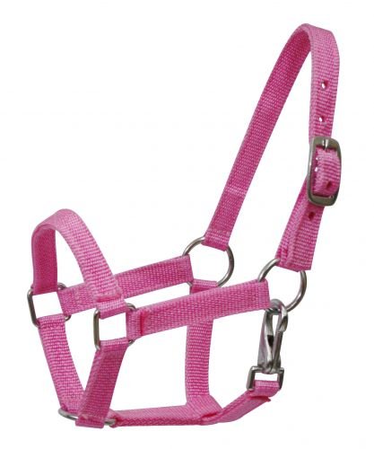Nylon Small Pony Halter with Nickel Plated Hardware and Throat Latch - color: Pink