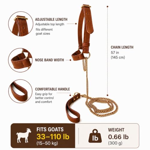 Adjustable Genuine Leather Goat Halter with Chain Lead, Premium Show Goat Halter for Training, Elegant Livestock Handling Supplies, Durable Goat Head Collar for Goats (33–110 lb)