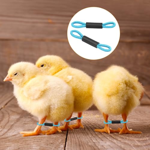 M METERXITY 50-Pack Adjustable Chick Leg Bands, 1.38" x 0.2" Polyester Chicken Leg Brace for Chicks/Ducks/Birds [Blue] Poultry Leg Bands - color: Blue