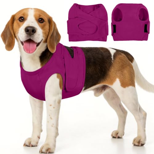 BRKURLEG Dog Chest Recovery Suit After Surgery, Purple XS | Dog Chest & shoulder Wound Cover, Breathable & Soft Anti-Licking Wound Vest, Not for Spay/Neuter Surgeries, Cone Alternative - color: Purple, size: X-Small