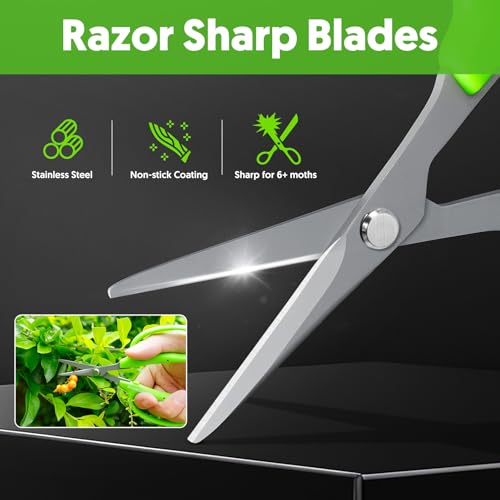 Garden Scissors, 2 PCS, Curved Blade, 6-in, Non-Stick Coated Steel, Sharp | Pruning Shear, Gardening Tools, Garden Snips for Plants, Herbs, Flowers in Grow Tent and Hydroponics, Easy to Clean - style: Curved Blade