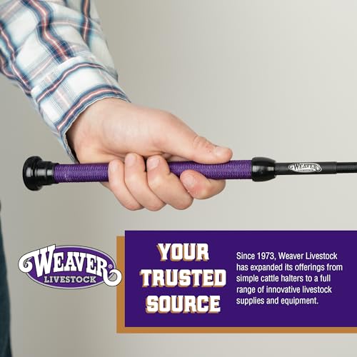Weaver Livestock Basic Pig Show Whip, Hog Livestock Whip with Braided Nylon Handle, Leather Popper, Lightweight Braided Shaft - color: 36" - Purple