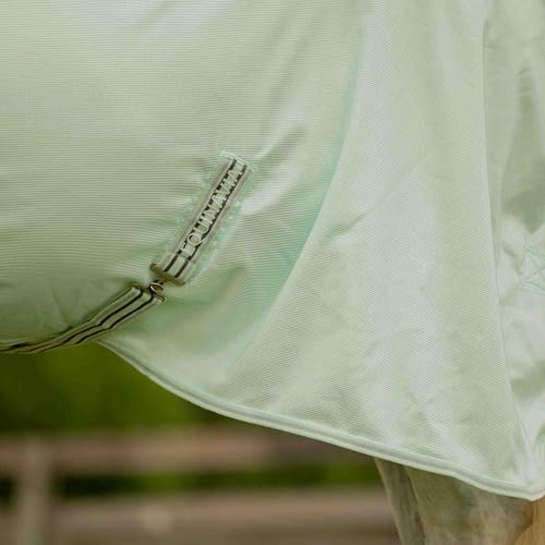 Equinavia Brisk Mesh Horse Fly Sheet with Neck Coverage, UV Protection | Cool Breathable Equine Fly Sheet for Horses, Horse Turnout Sheet Against Pests, Insects and Sun Exposure, Misty Jade - color: Misty Jade, size: 84 in