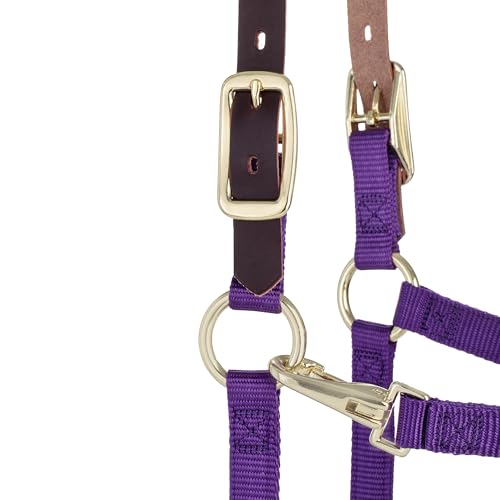 Weaver Leather Adjustable Breakaway Nylon Horse Halter, Purple, Weanling/Pony