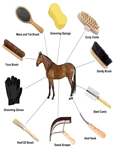 Horse Grooming Kit (12-Piece): Brushes, Storage Bag, Sweat Scraper, Mane Comb, Grooming Gloves, Horse Gift for Girls (Black) - color: Black