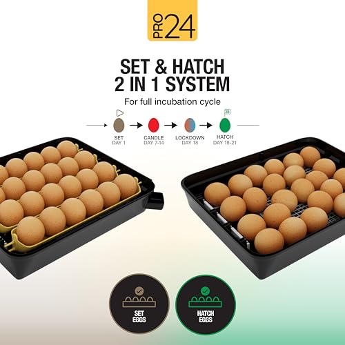 Hatching Time Pro24 Automatic Egg Incubator for Hatching Eggs – Digital Chicken Egg Incubator, Humidity Display, Auto Turner & LED Candler | Hatches 24 Chicken Eggs, Fits Quail, Duck, Turkey, Goose